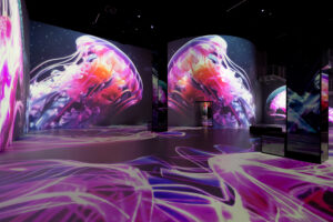"Wunderwelt Ozean – ein immersiver Tauchgang" im Port des Lumières / Copyright: Culturespaces/Fabijan Vuksic
